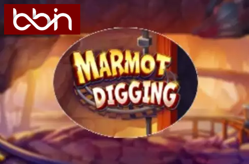 Marmot Digging